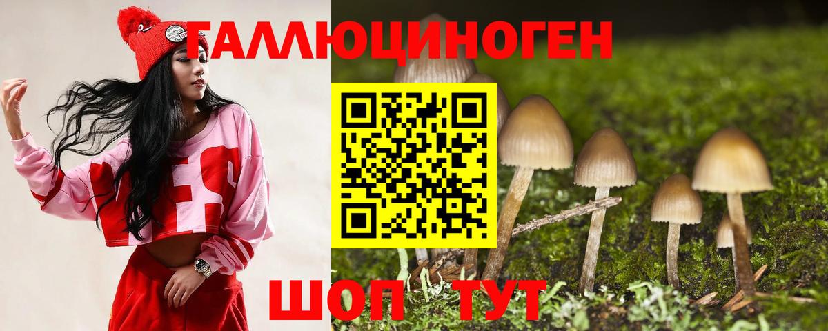 Галлюциногенные грибы Psilocybine cubensis Дедовск
